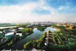 新江湾城最新爆料新闻事件