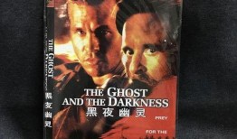 黑夜幽灵在线观看,暗夜降临，神秘幽灵的惊悚之旅