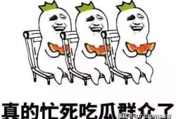 娱乐吃瓜酱低智商