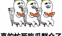 娱乐吃瓜酱低智商