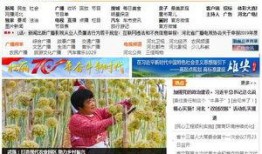 河北电台爆料视频播放下载,独家揭秘事件真相