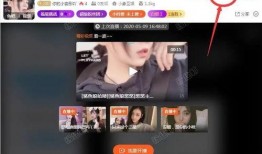 潮汕主播爆料视频播放网站,揭秘热门视频播放网站幕后真相