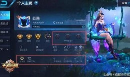 王者阿呆爆料视频,揭秘游戏幕后秘密与精彩瞬间