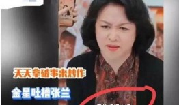 张兰爆料金星视频播放,揭秘娱乐圈幕后真相