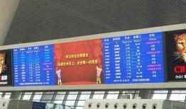 杭州最新爆料新闻,揭秘某神秘项目背后真相