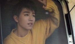 王导爆料王俊凯视频大全,王俊凯视频大全背后的精彩瞬间