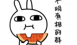 暗中吃瓜知乎免费阅读全文,知乎免费阅读全文背后的故事