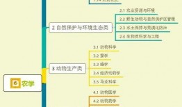 润哥爆料视频大全集下载,揭秘幕后真相，深度解析热门事件