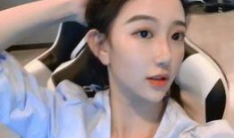 刘晶爆料录音视频播放大全,揭秘事件背后真相