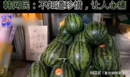 韩国人免费吃瓜