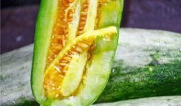 网红事件吃瓜,揭秘吃瓜群众的狂欢与反思