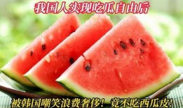 韩国人免费吃瓜