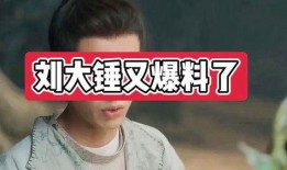 刘大锤爆料三代视频,三代视频背后的惊人真相