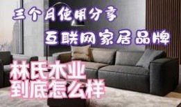 爆料林氏木业事件视频播放,揭秘行业乱象背后的真相