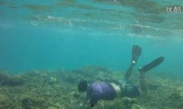 莫西沙爆料视频,行业内幕大曝光