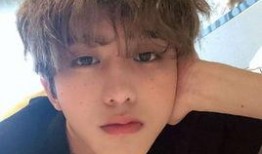 蔡徐坤白鹿绯闻爆料视频,真相与谣言的交织