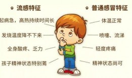 流感高清在线观看