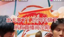 爆料三只羊视频,网络爆红背后的惊人真相