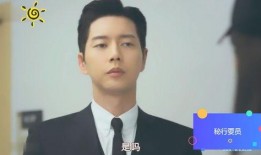 秘行要员在线观看,暗夜行动，揭秘特工世界