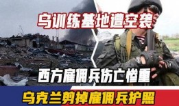 雇佣兵死亡爆料视频大全