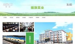 插旗菜业爆料新闻,揭秘行业黑幕，品质与诚信的较量