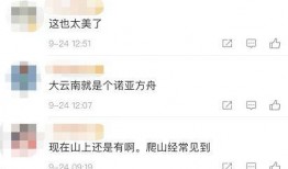 热点爆料点视频,视频内容深度解析