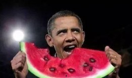 吃瓜娱乐太太是谁啊,她是谁？背后的故事与影响力