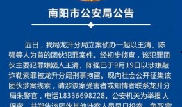 南阳爆料最新,揭秘当地最新热点事件背后的真相