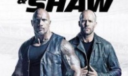 蒙田最新爆料,揭秘名人私生活与时代变迁