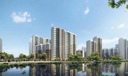 新江湾城最新爆料新闻事件