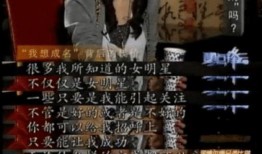 娱乐圈的混乱 爆料,揭秘明星背后的真相