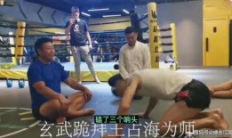 张太海爆料王占海视频播放,揭秘背后惊人内幕