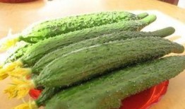 丹东吃瓜最新事件爆料视频,最新爆料视频揭秘惊人内幕