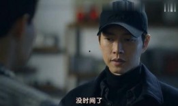秘行要员在线观看,暗夜行动，揭秘特工世界