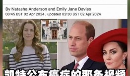 英国王室的爆料视频大全,独家爆料视频大全深度解析