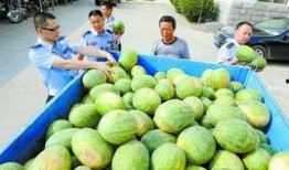 更多网红吃瓜爆料群,揭秘娱乐圈幕后真相