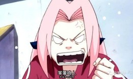 火影小樱爆料直播视频在线观看,独家爆料与精彩瞬间回顾