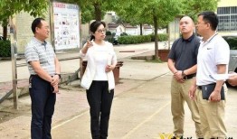 热门视频拍摄指南爆料,热门指南爆料全解析