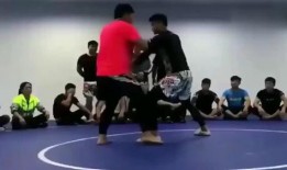 张太海爆料王占海视频播放,揭秘背后惊人内幕