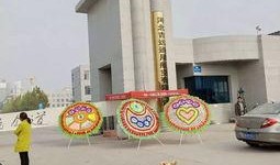 石家庄学院爆料视频播放,揭秘校园生活背后真相