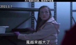 我的冰冻男友在线观看,跨越时空的浪漫邂逅