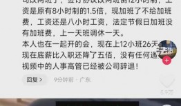美国高管爆料视频最新版,揭秘企业内幕与行业真相