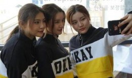 美国派8整版在线观看,在线狂欢，重温青春经典