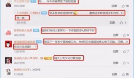 枞阳黑粉爆料视频大全,视频大全背后的真相与争议