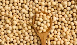 国产吃瓜网红黑料19禁,黑料19禁背后的真相