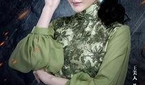 老九门全集在线观看,探秘古墓奇谭，揭秘神秘家族传奇