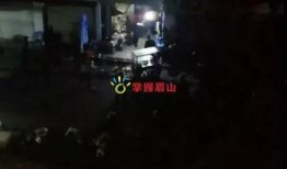 东坡爆料视频,幕后真相大曝光！