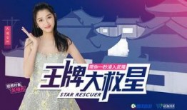 杨晓薇爆料视频大全集,揭秘背后真相与情感纠葛