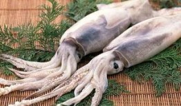 鱿鱼最新爆料视频大全图片,视频大全图片揭秘幕后真相