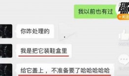 吃瓜最新真相爆料视频,视频爆料揭示惊人内幕